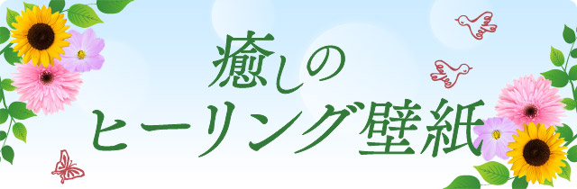 癒しのヒーリング壁紙 毎月更新 米ぬか自然派化粧品 健康食品の通信販売 日本盛オンラインショップ