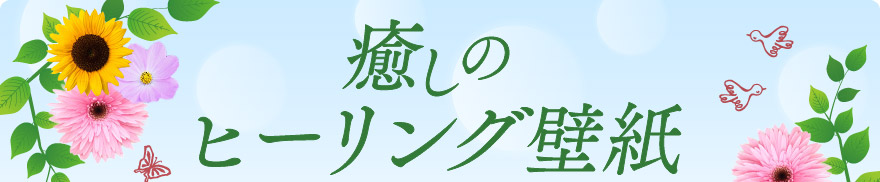 癒しのヒーリング壁紙 バックナンバー 米ぬか自然派化粧品 健康食品の通信販売 日本盛オンラインショップ