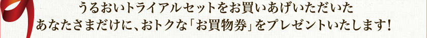 邨gCAZbgȂ܂ɁAgNȁuvv[g܂I