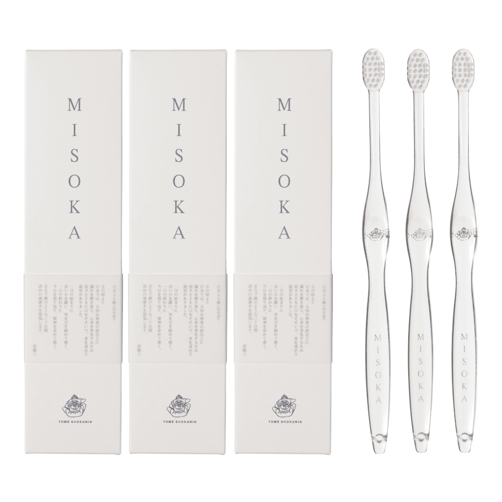 v~AuV MISOKA 3{Zbg