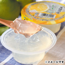 愛媛県産レモンゼリー（120g×30個）