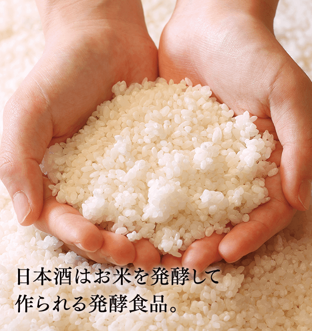 日本酒はお米を発酵して作られる発酵食品。
